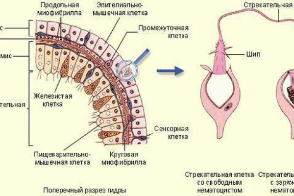 Kra18.cc