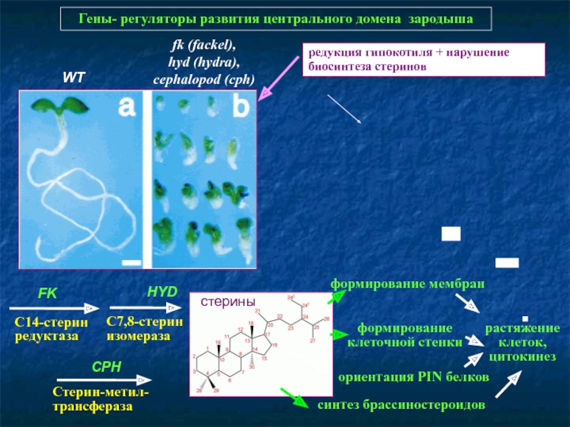 Кракен тор kr2web in